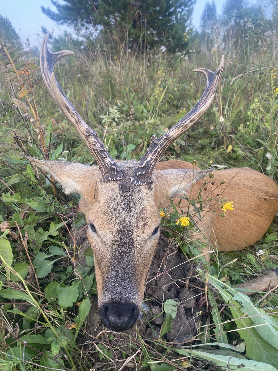 photo_2024-07-12 14.41.46.jpeg